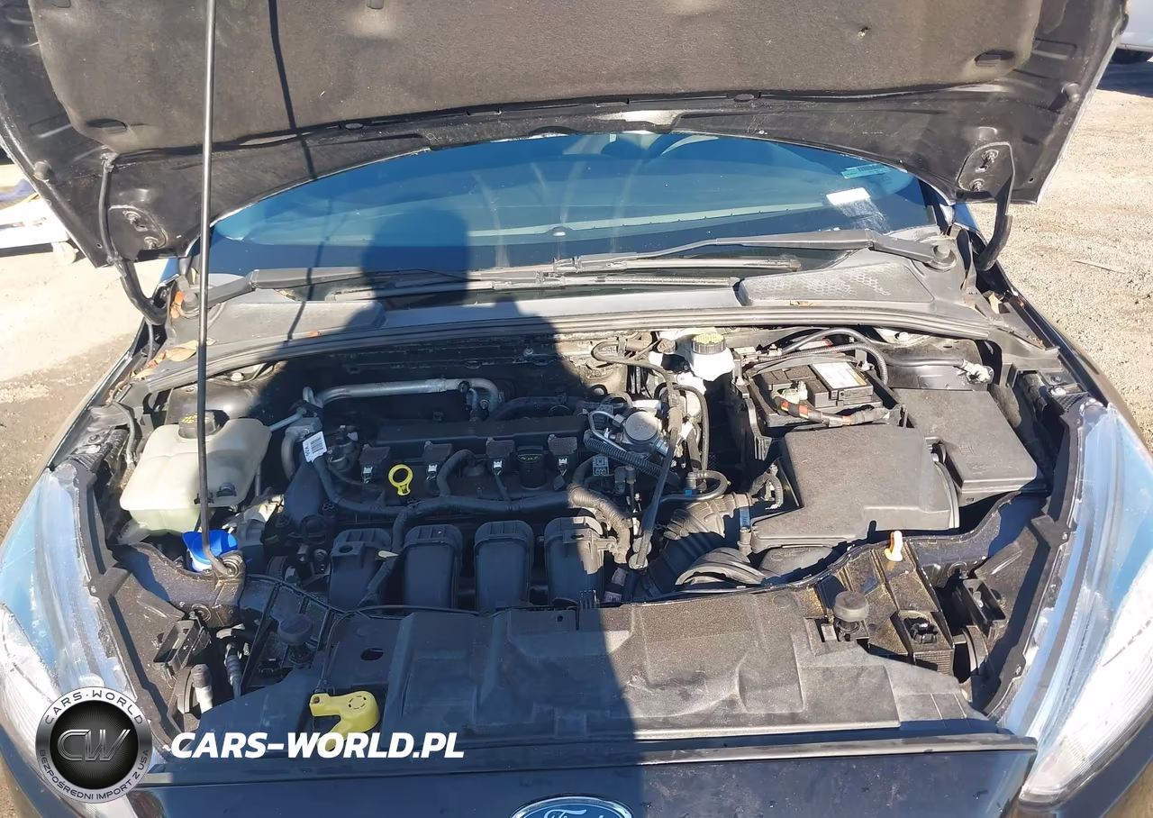 2018 Ford Focus Se VIN:1FADP3K26JL209150 - 10