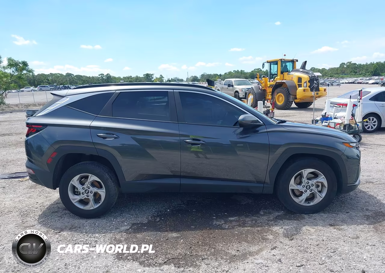2024 Hyundai Tucson Sel VIN:5NMJBCDE1RH347985 - 13