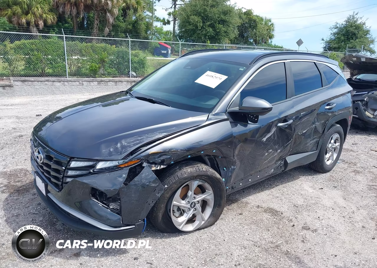 2024 Hyundai Tucson Sel VIN:5NMJBCDE1RH347985 - 2