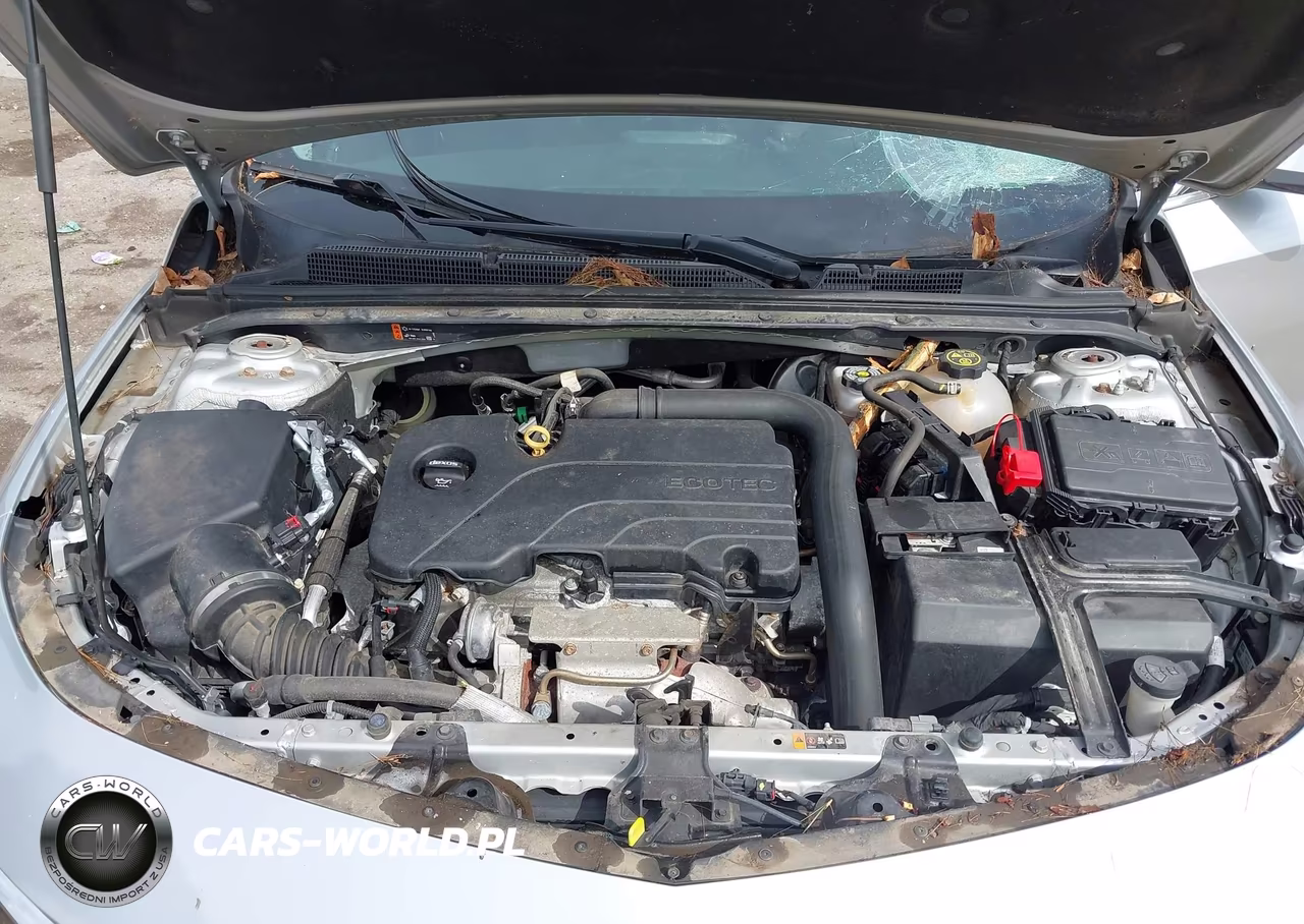 2019 Chevrolet Malibu Lt VIN:1G1ZD5ST0KF150831 - 10