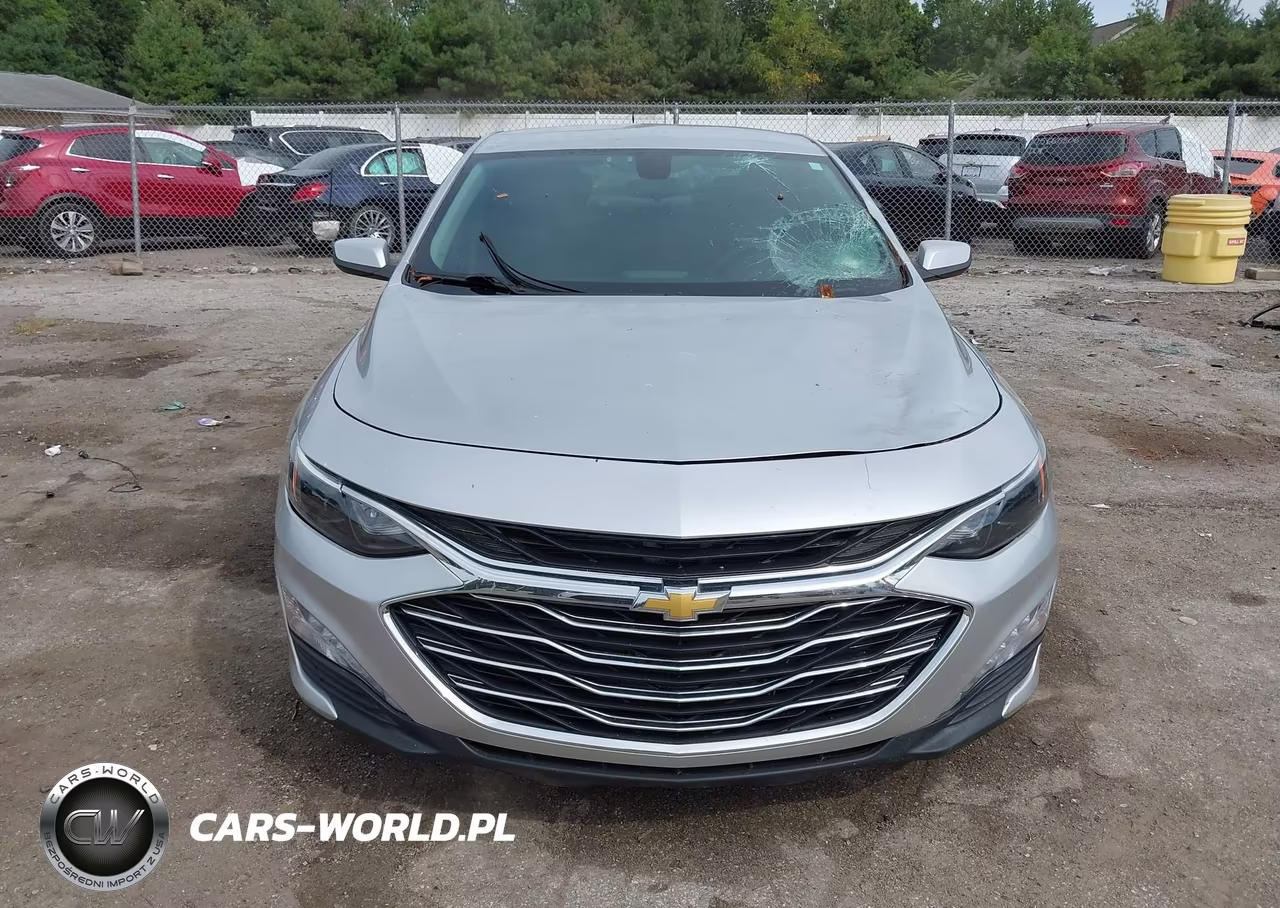 2019 Chevrolet Malibu Lt VIN:1G1ZD5ST0KF150831 - 12