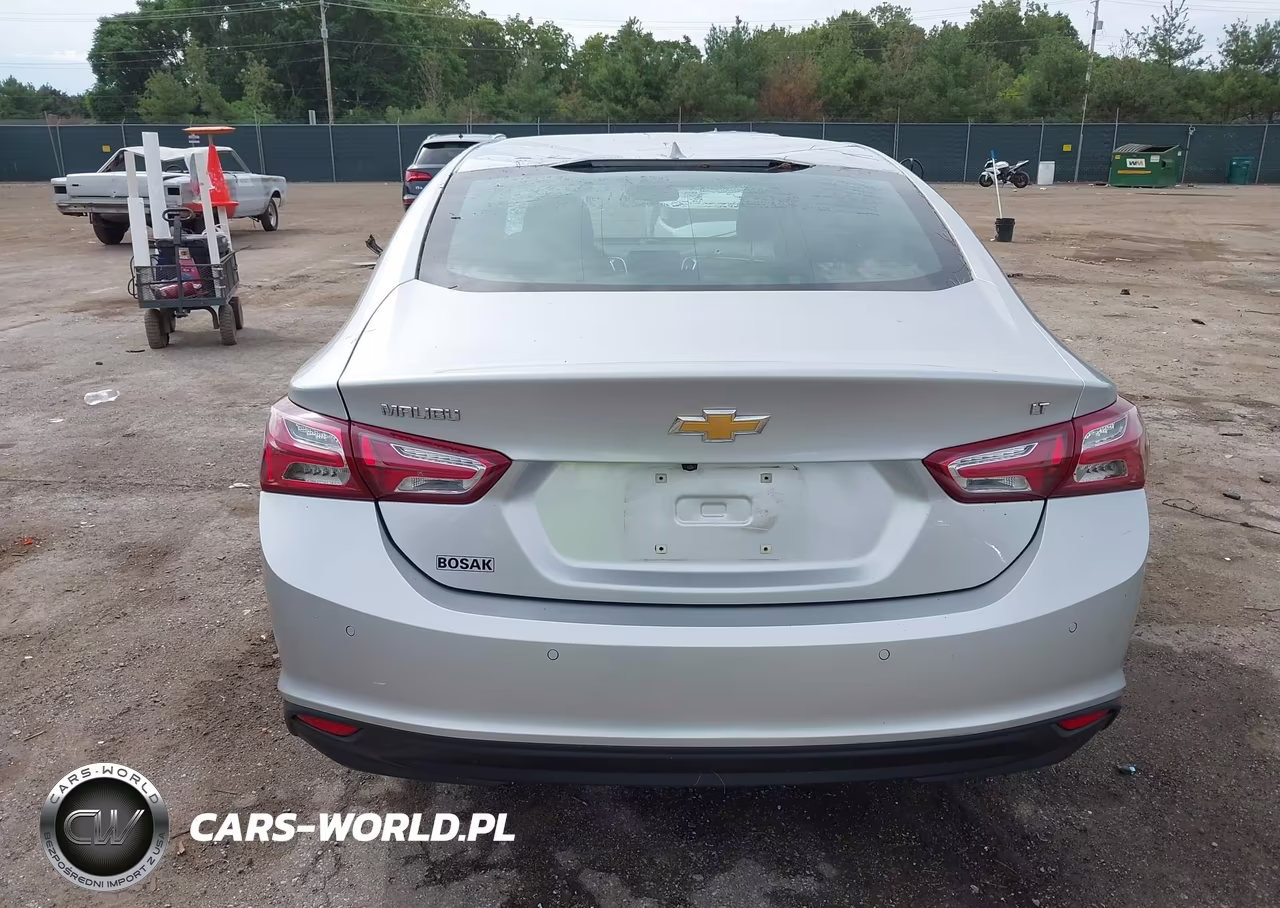 2019 Chevrolet Malibu Lt VIN:1G1ZD5ST0KF150831 - 16