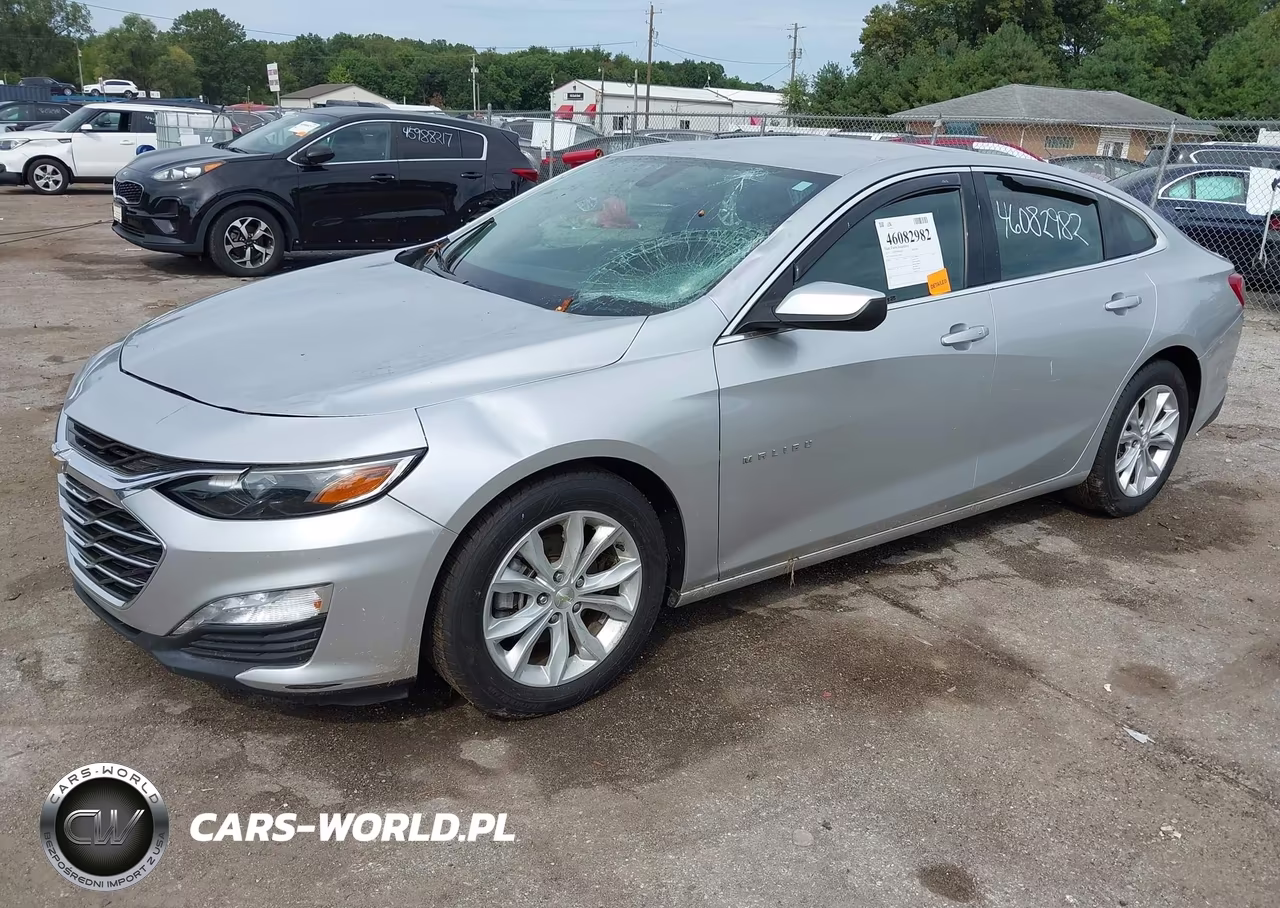 2019 Chevrolet Malibu Lt VIN:1G1ZD5ST0KF150831 - 2