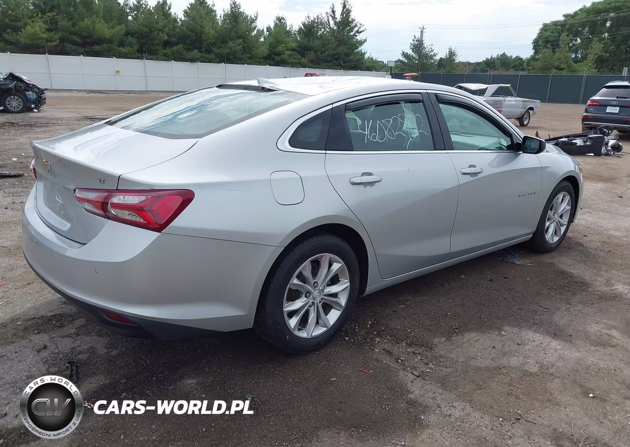 2019 Chevrolet Malibu Lt VIN:1G1ZD5ST0KF150831 - 4