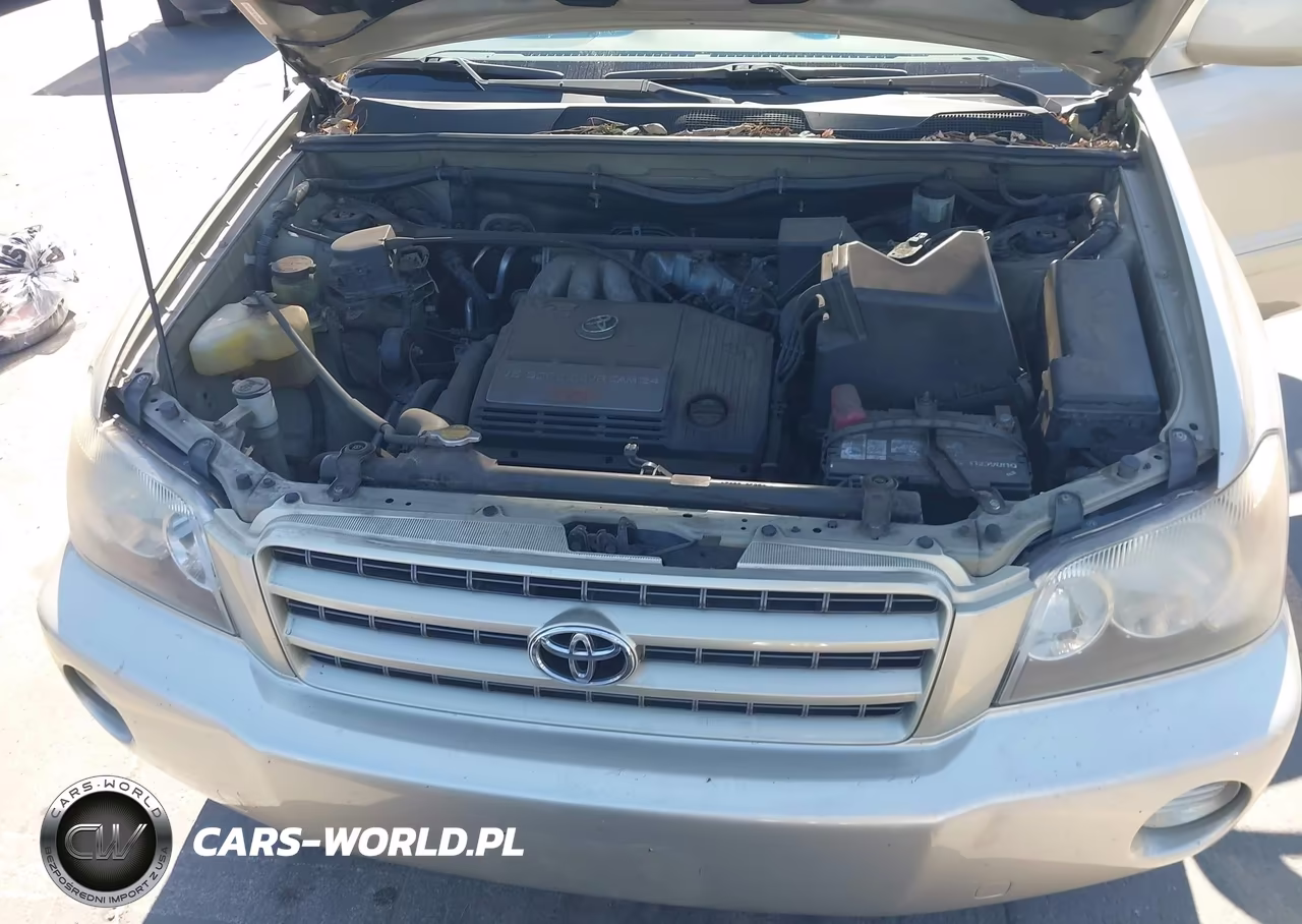 2002 Toyota Highlander V6 VIN:JTEGF21A520031498 - 10