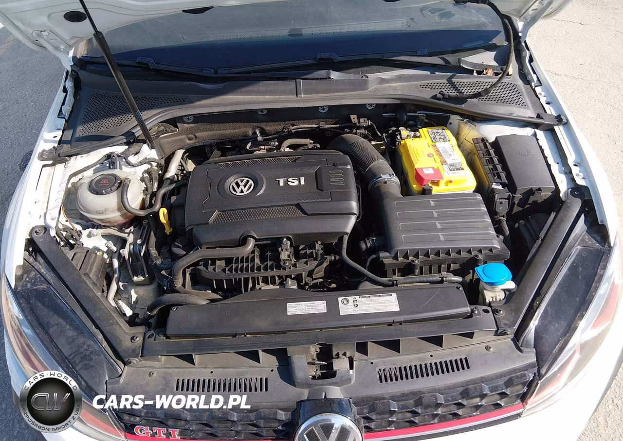 2019 Volkswagen Golf Gti VIN:3VW6T7AU4KM000396 - 10