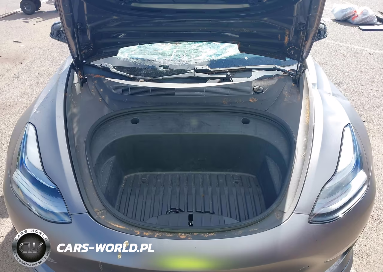 2021 Tesla Model 3 Standard Range Plus Rear-Wheel Drive VIN:5YJ3E1EA3MF052221 - 10