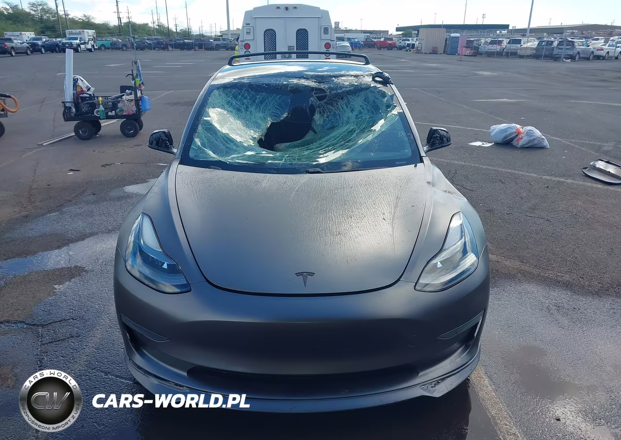 2021 Tesla Model 3 Standard Range Plus Rear-Wheel Drive VIN:5YJ3E1EA3MF052221 - 13