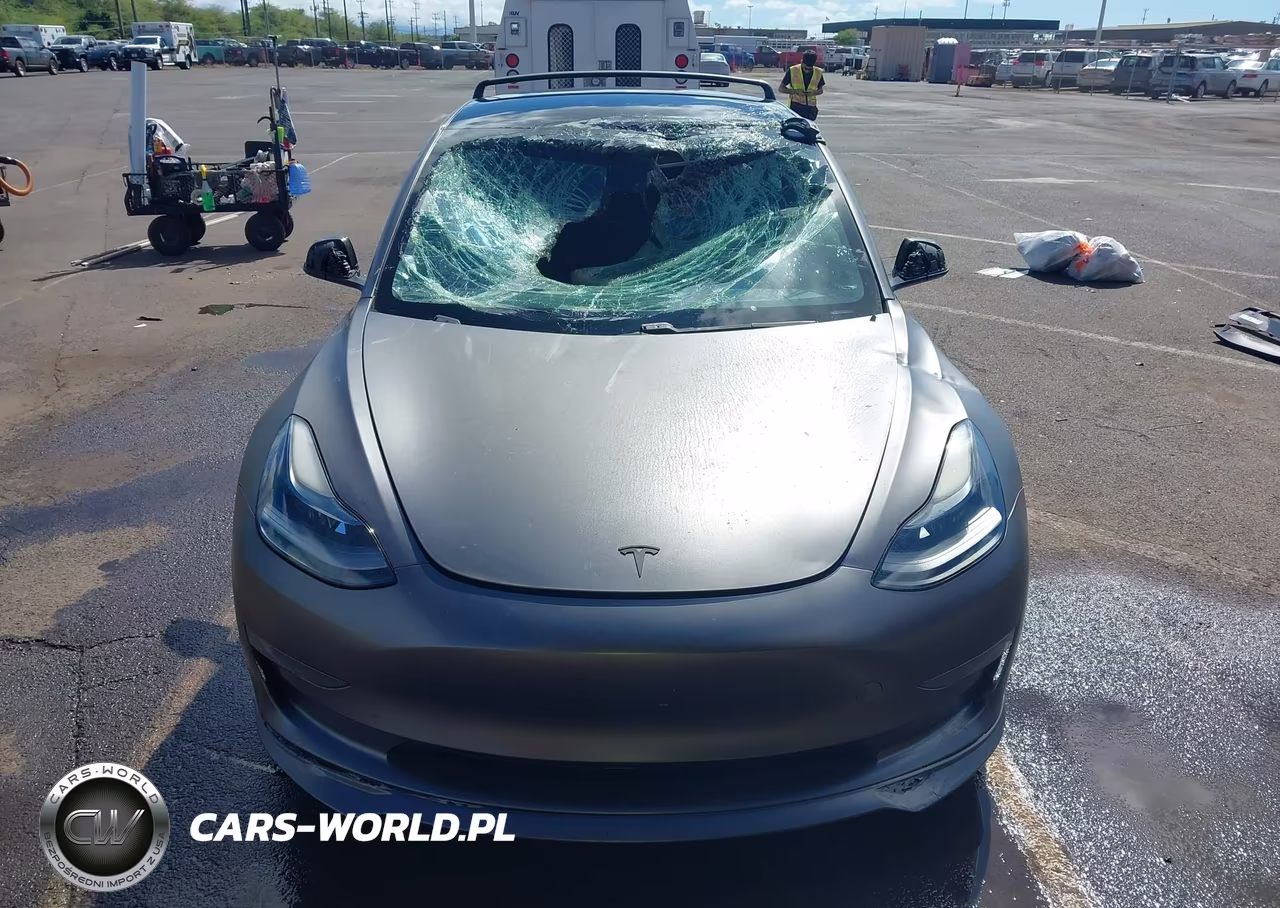 2021 Tesla Model 3 Standard Range Plus Rear-Wheel Drive VIN:5YJ3E1EA3MF052221 - 6
