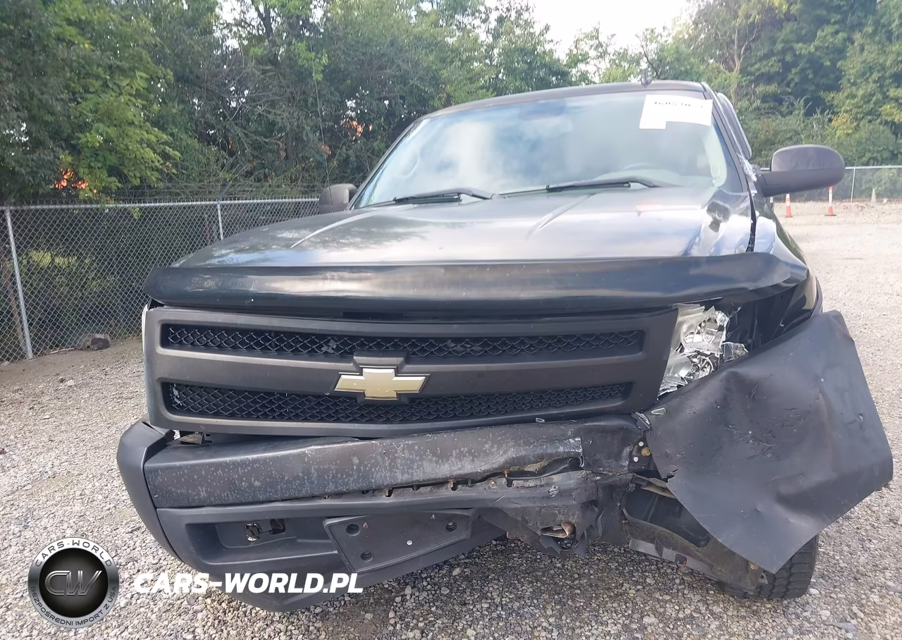 2008 Chevrolet Silverado 1500 Work Truck VIN:1GCEC14XX8Z138145 - 10