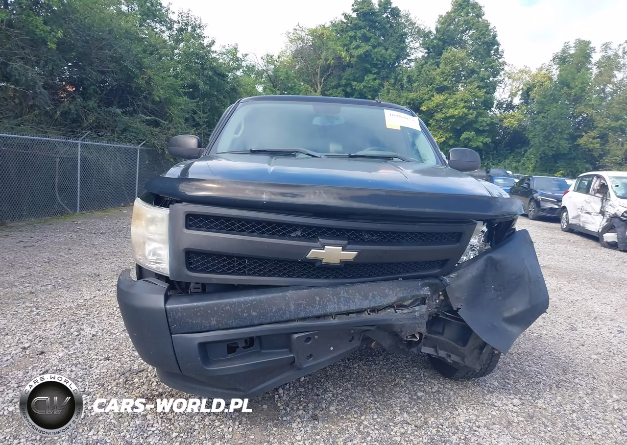2008 Chevrolet Silverado 1500 Work Truck VIN:1GCEC14XX8Z138145 - 12