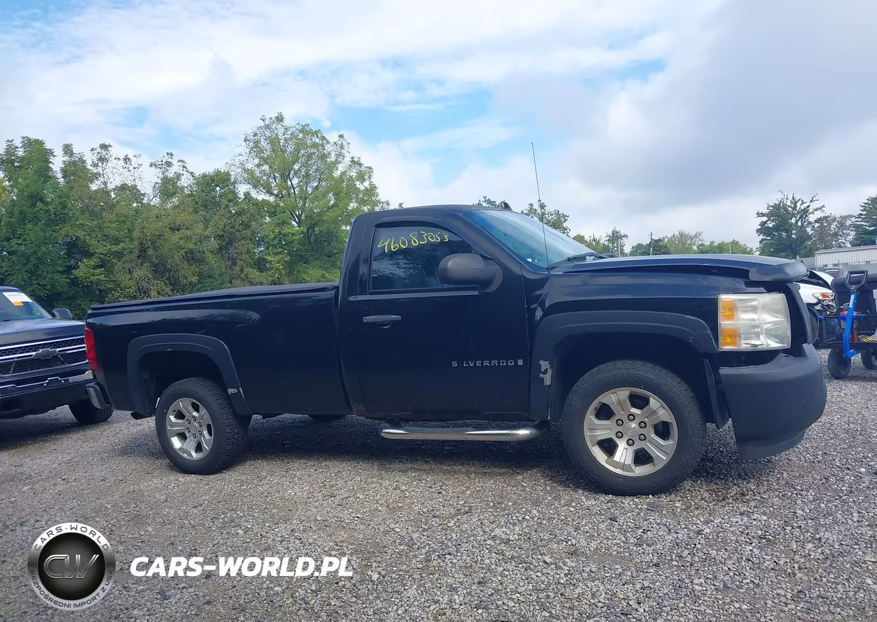 2008 Chevrolet Silverado 1500 Work Truck VIN:1GCEC14XX8Z138145 - 13