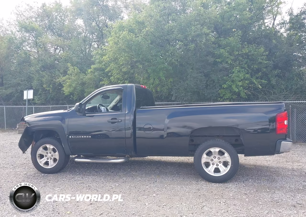 2008 Chevrolet Silverado 1500 Work Truck VIN:1GCEC14XX8Z138145 - 14