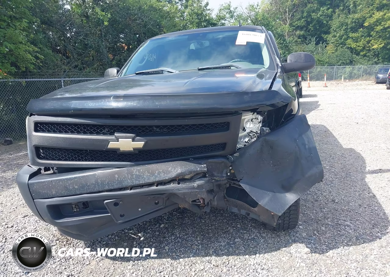 2008 Chevrolet Silverado 1500 Work Truck VIN:1GCEC14XX8Z138145 - 6