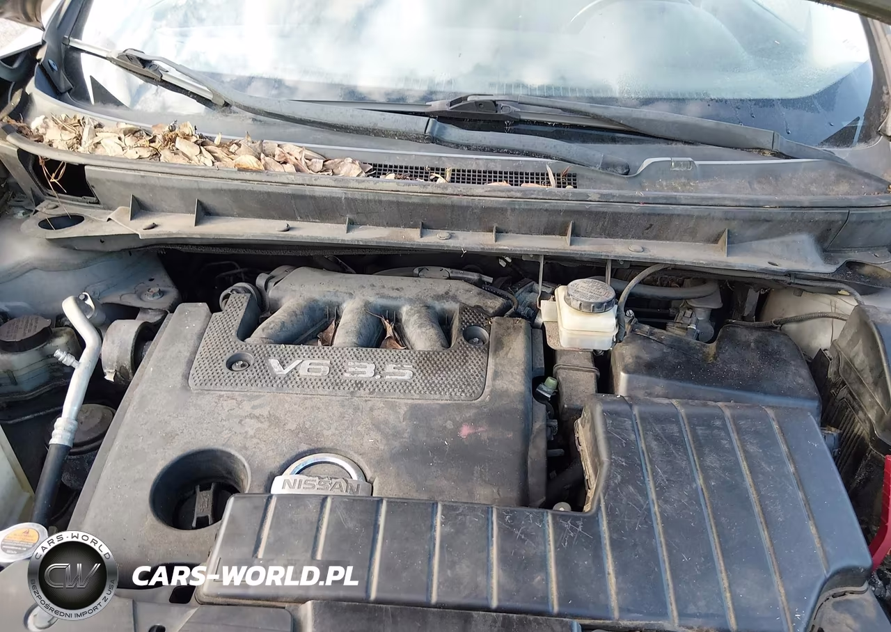 2009 Nissan Murano Sl VIN:JN8AZ18U79W019263 - 10