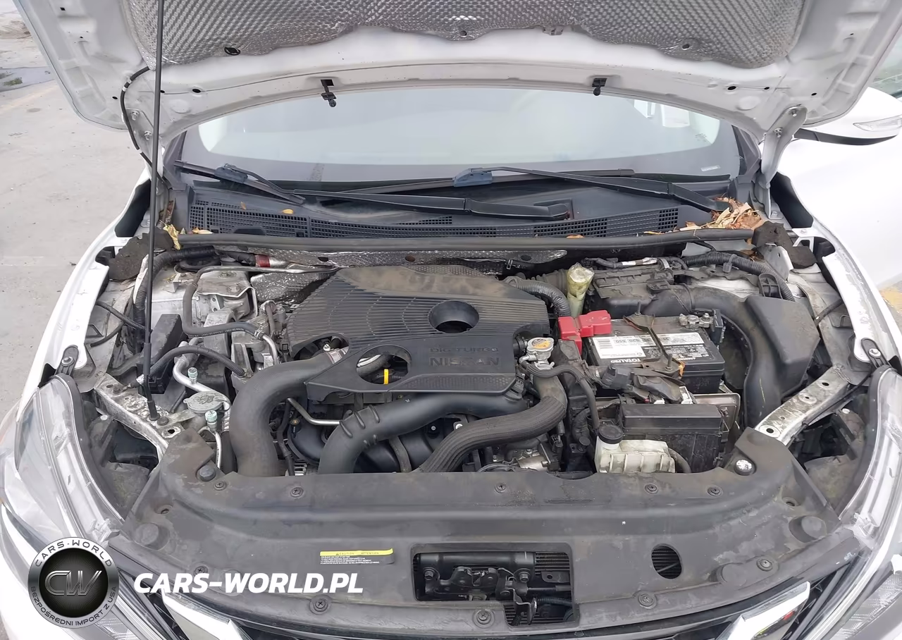 2017 Nissan Sentra Sr Turbo VIN:3N1CB7AP4HY350280 - 10