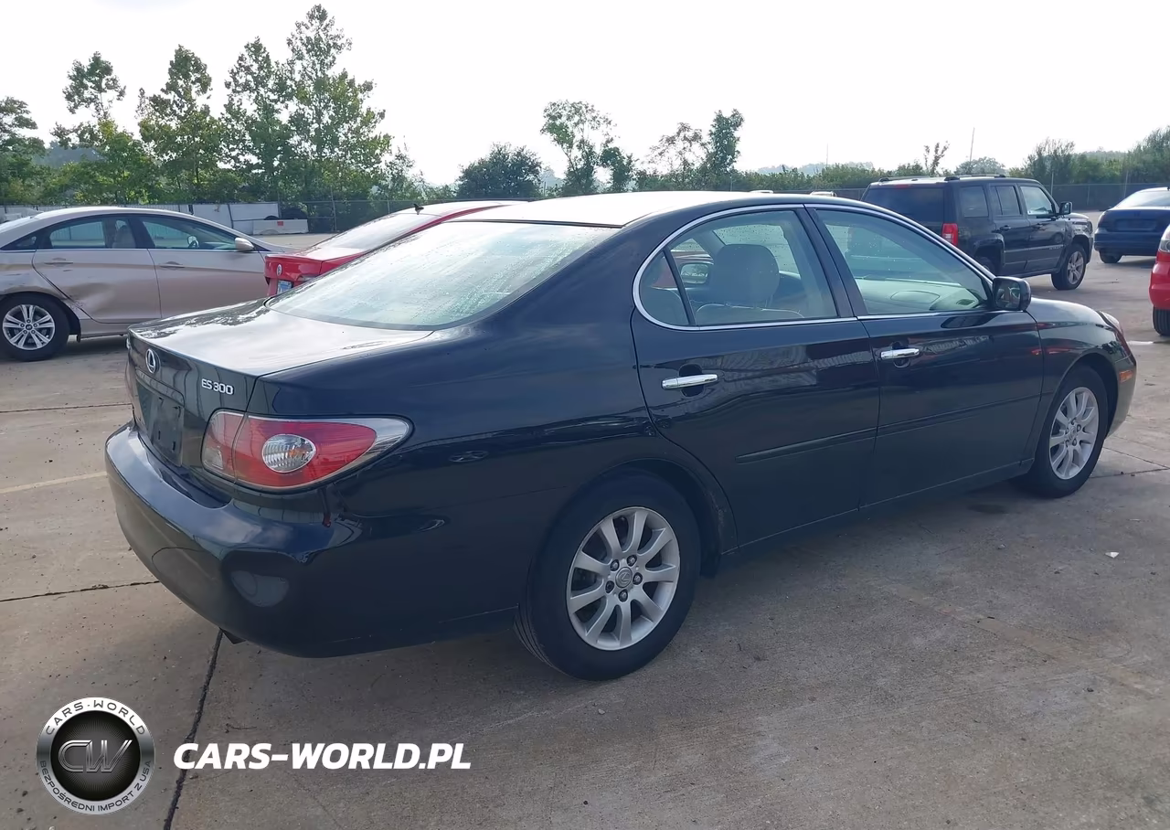 2002 Lexus Es 300 VIN:JTHBF30G820048790 - 4