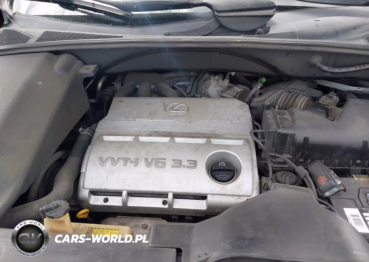 2005 Lexus Rx 330 VIN:JTJGA31UX50046843 - 10