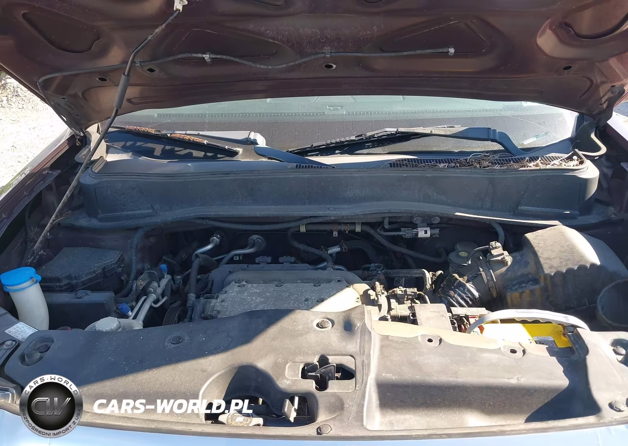 2010 Honda Pilot Ex-L VIN:5FNYF4H5XAB020641 - 10