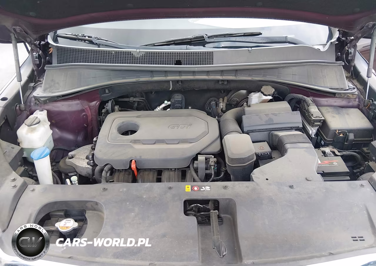 2016 Kia Sorento 2.4L Lx VIN:5XYPGDA38GG077505 - 10