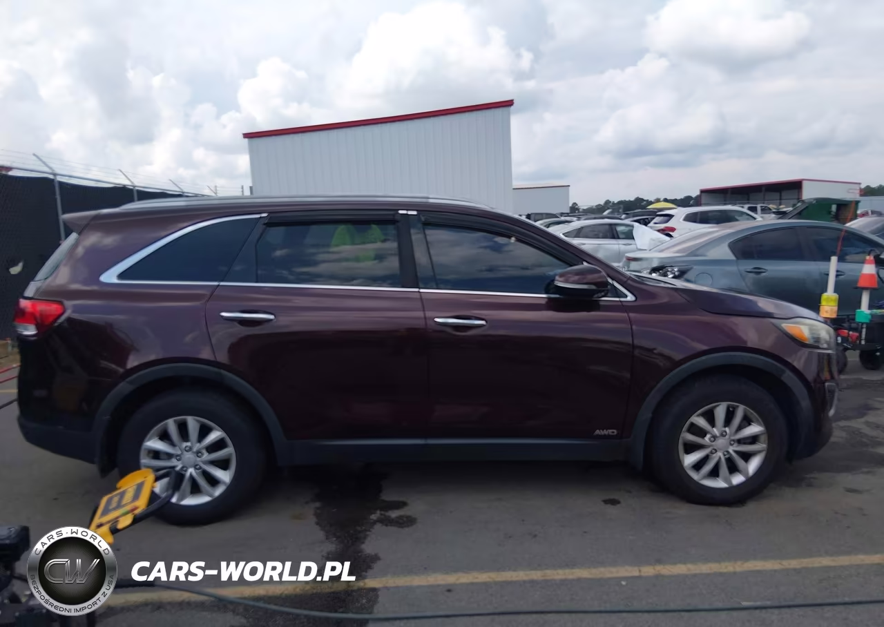 2016 Kia Sorento 2.4L Lx VIN:5XYPGDA38GG077505 - 13