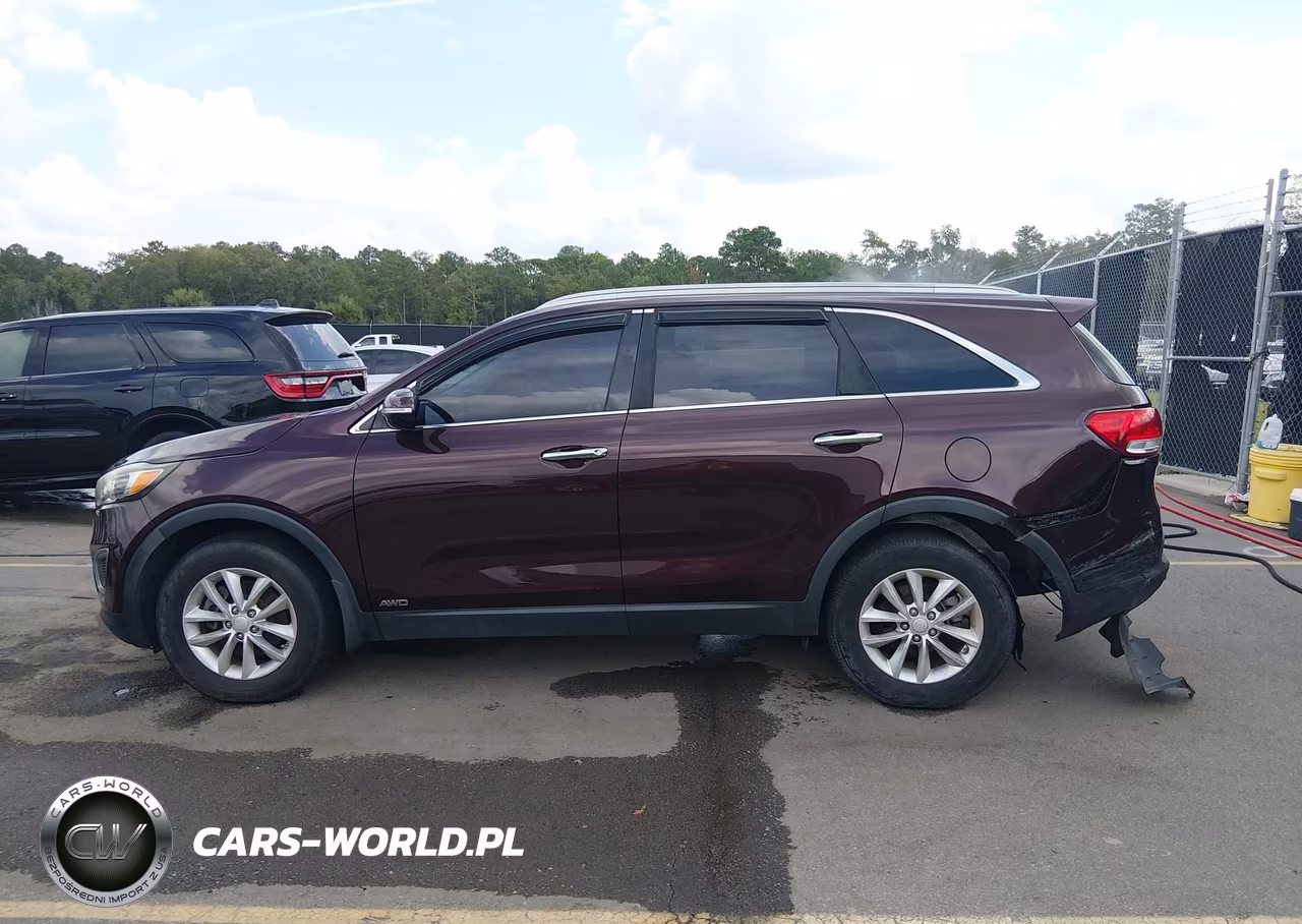 2016 Kia Sorento 2.4L Lx VIN:5XYPGDA38GG077505 - 14