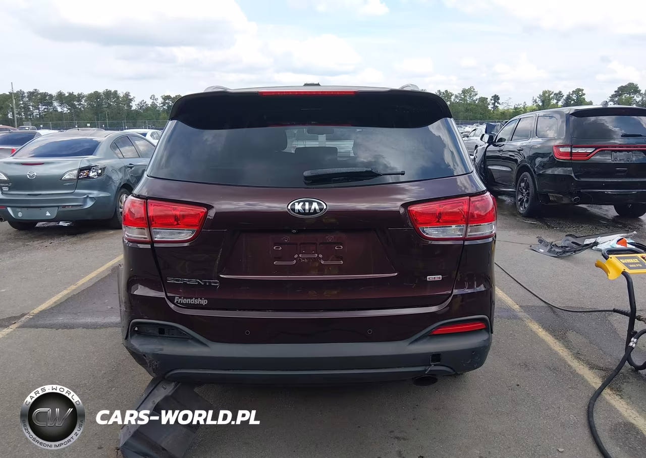 2016 Kia Sorento 2.4L Lx VIN:5XYPGDA38GG077505 - 16