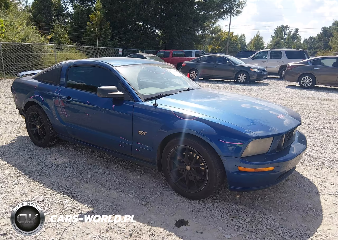 2006 Ford Mustang Gt VIN:1ZVFT82H765110040 - 1
