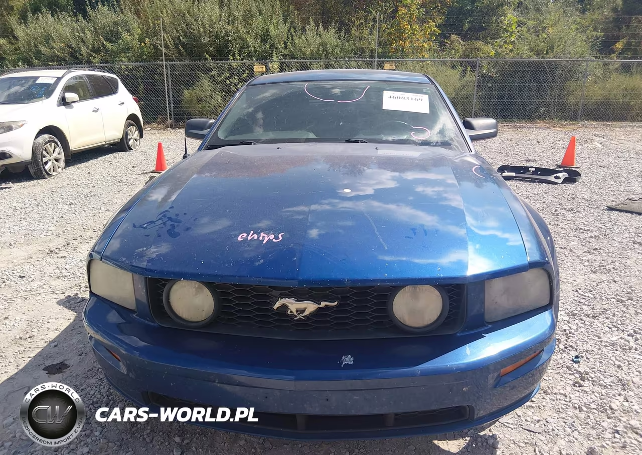 2006 Ford Mustang Gt VIN:1ZVFT82H765110040 - 12