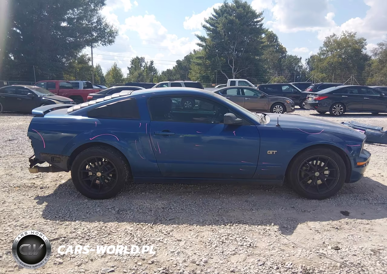 2006 Ford Mustang Gt VIN:1ZVFT82H765110040 - 13
