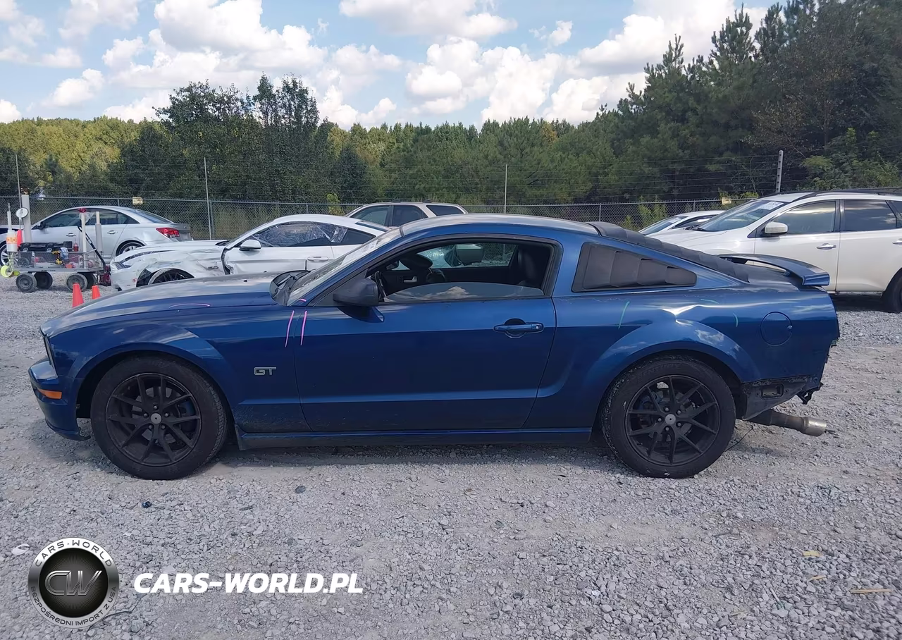 2006 Ford Mustang Gt VIN:1ZVFT82H765110040 - 14