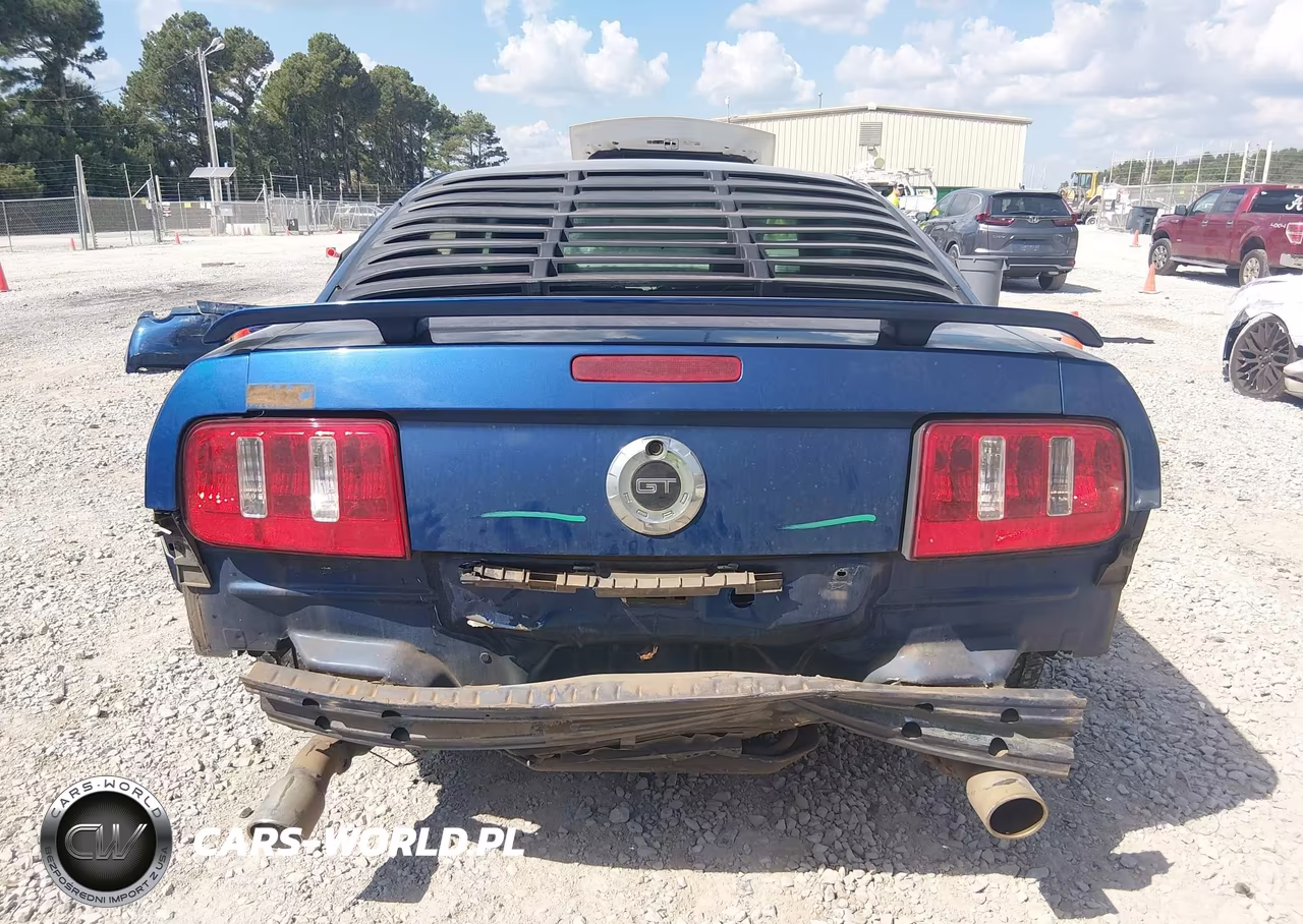 2006 Ford Mustang Gt VIN:1ZVFT82H765110040 - 16