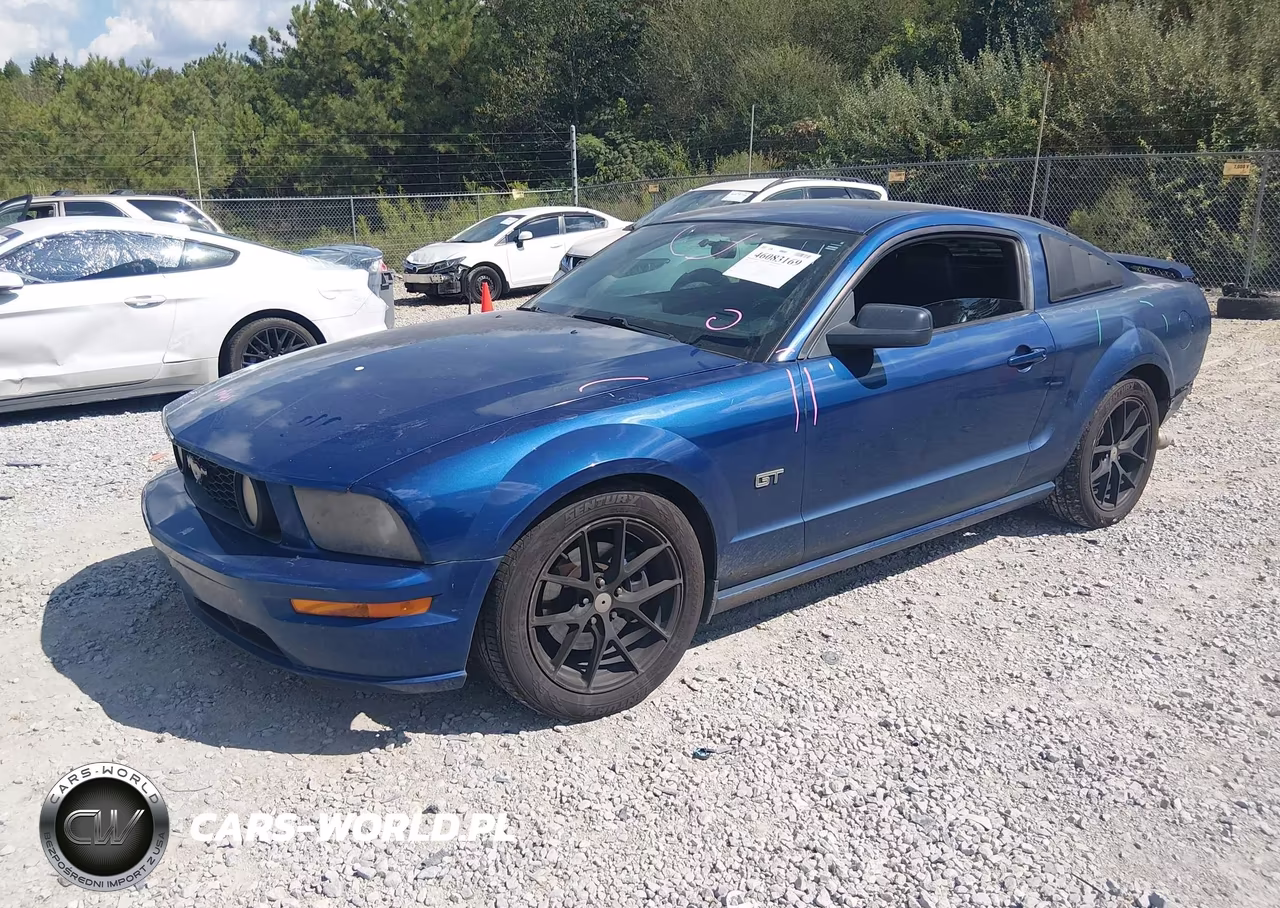 2006 Ford Mustang Gt VIN:1ZVFT82H765110040 - 2