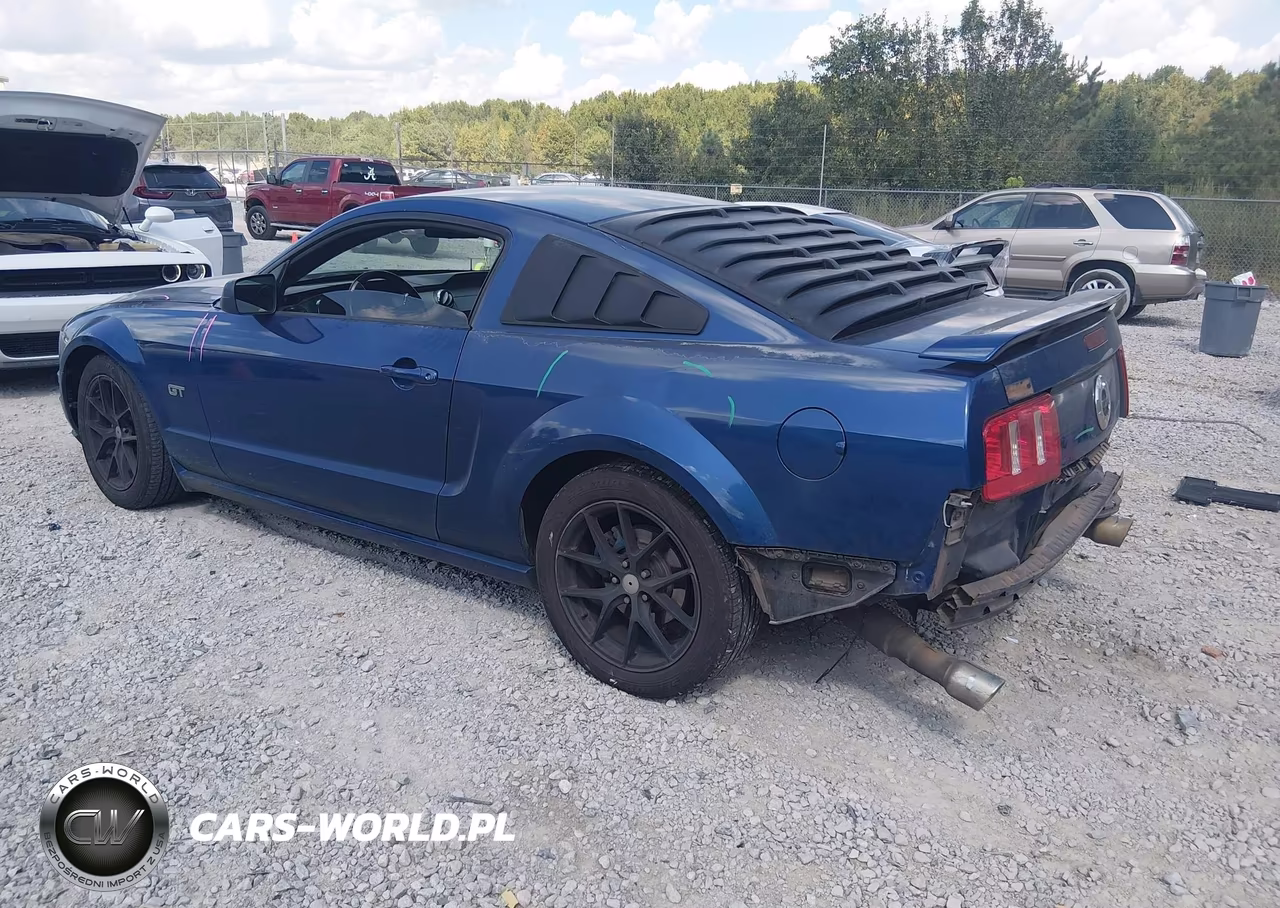 2006 Ford Mustang Gt VIN:1ZVFT82H765110040 - 3