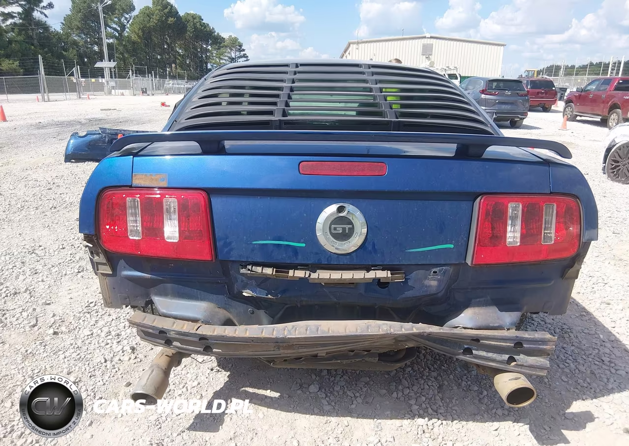 2006 Ford Mustang Gt VIN:1ZVFT82H765110040 - 6