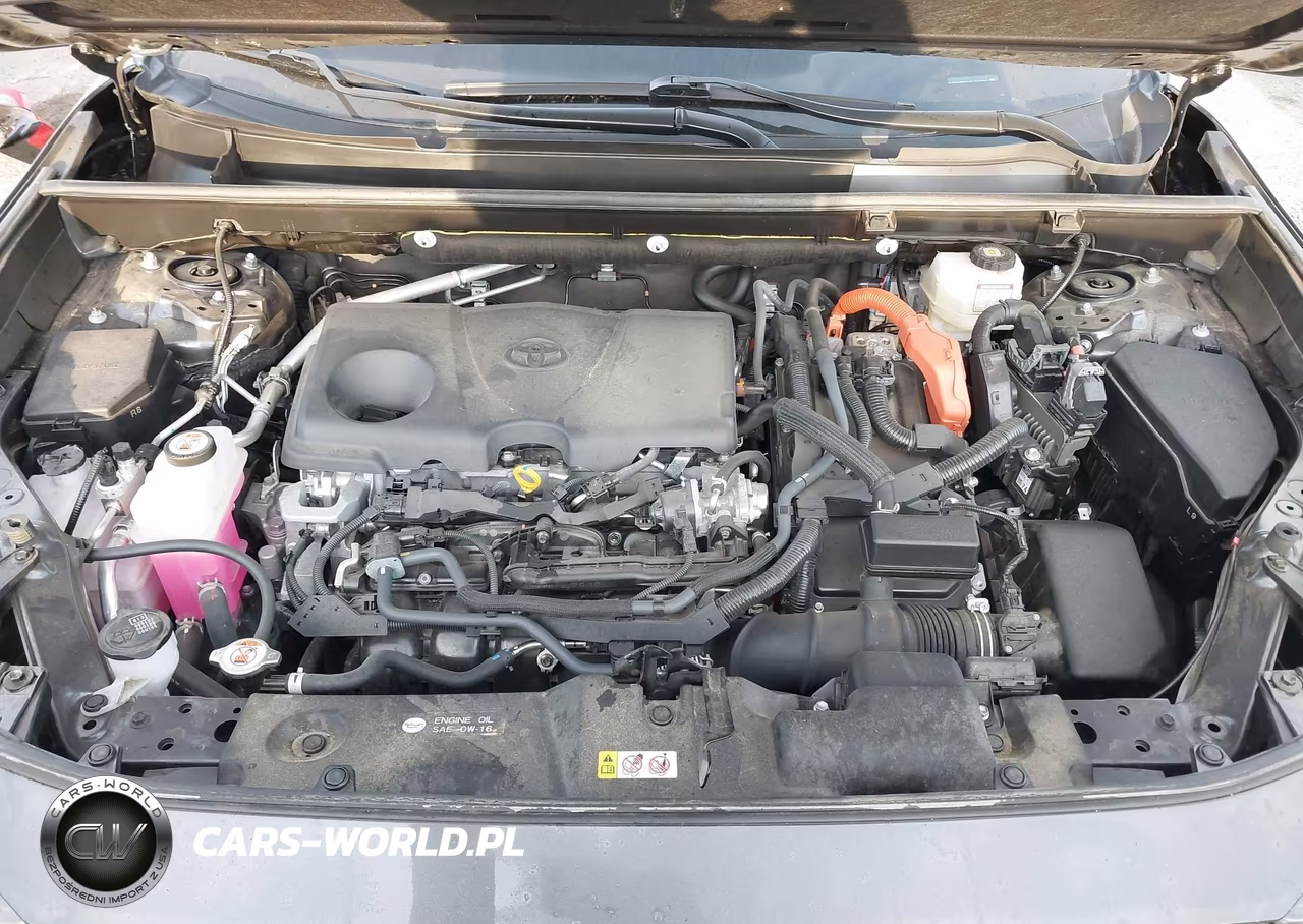 2024 Toyota Rav4 Hybrid Xle VIN:JTMRWRFV7RJ062046 - 10