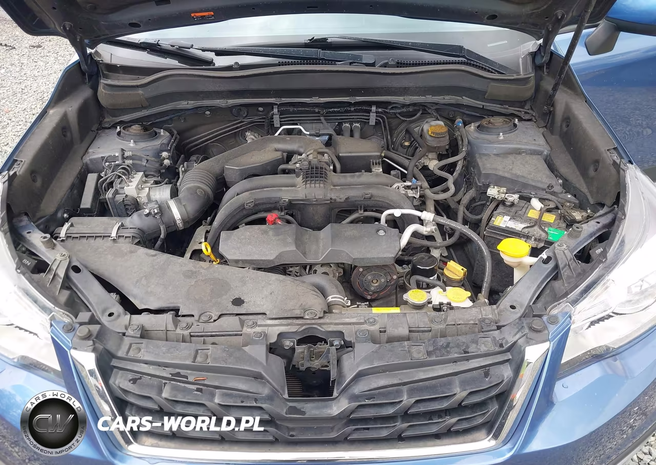 2018 Subaru Forester 2.5I Premium VIN:JF2SJAGC7JH499038 - 10