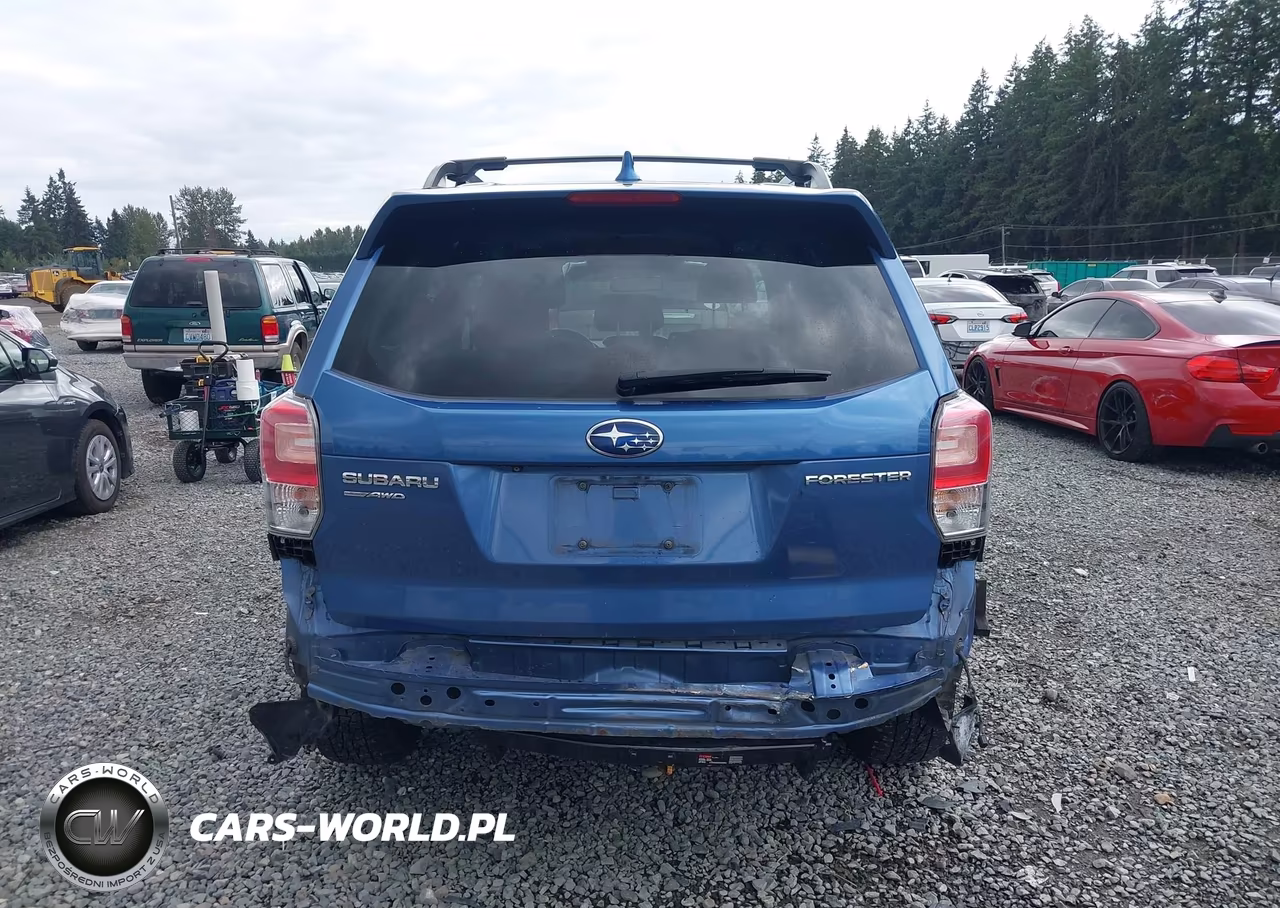 2018 Subaru Forester 2.5I Premium VIN:JF2SJAGC7JH499038 - 17
