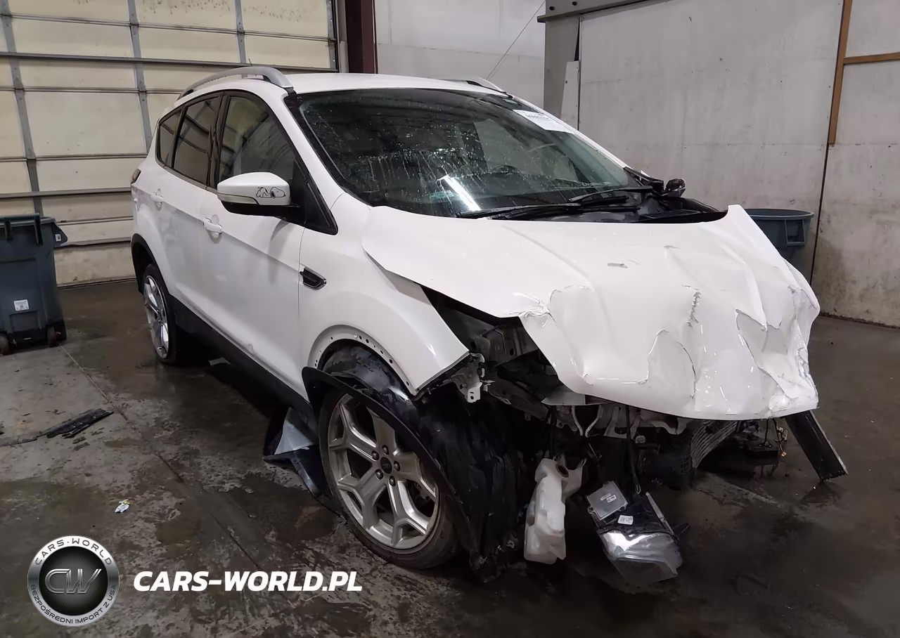 2019 Ford Escape Titanium VIN:1FMCU9J98KUA19549 - 1