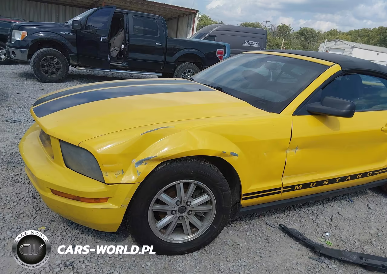 2006 Ford Mustang V6 VIN:1ZVFT84N965110575 - 6