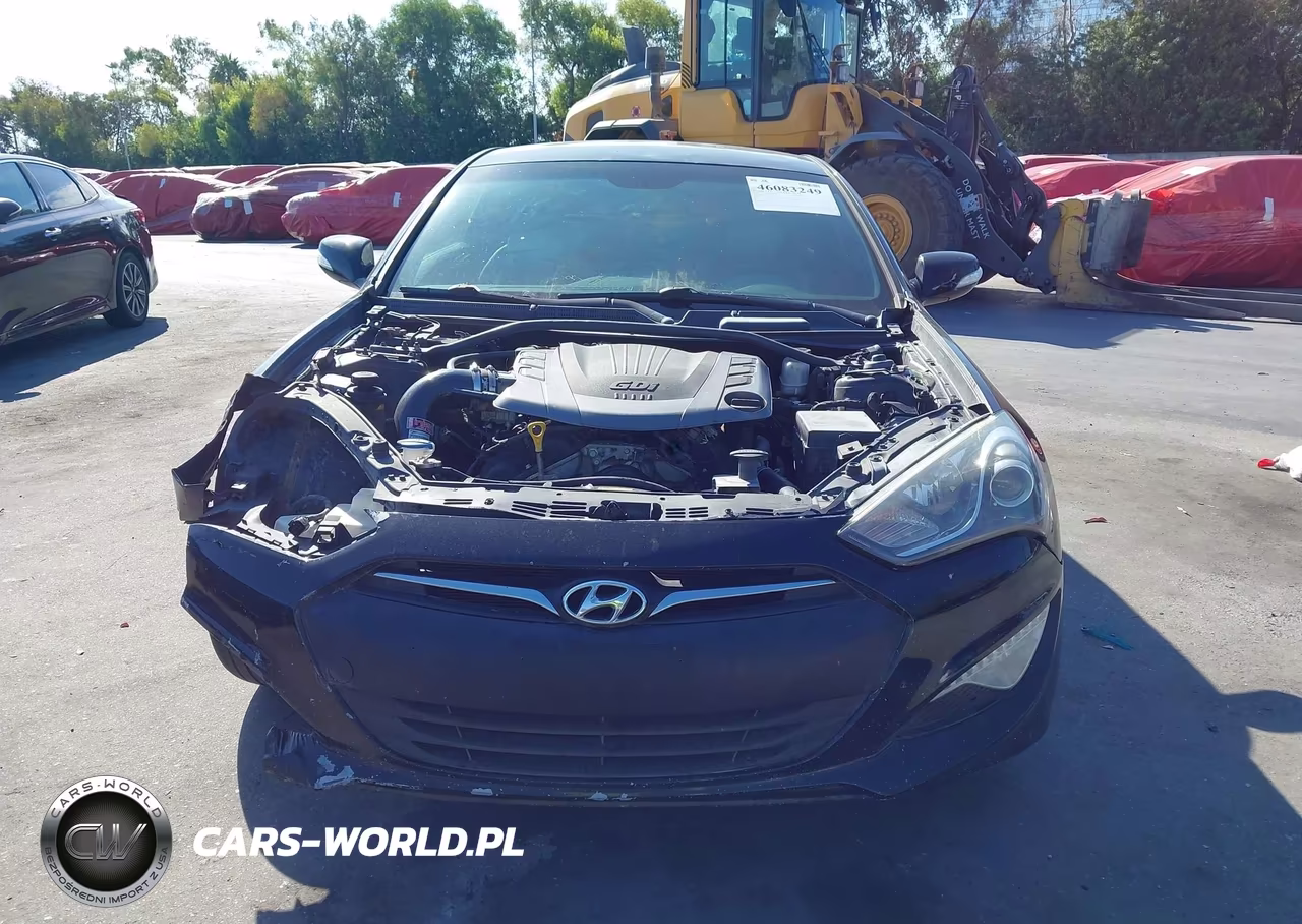 2016 Hyundai Genesis 3.8 Base VIN:KMHHT6KJ7GU136126 - 12