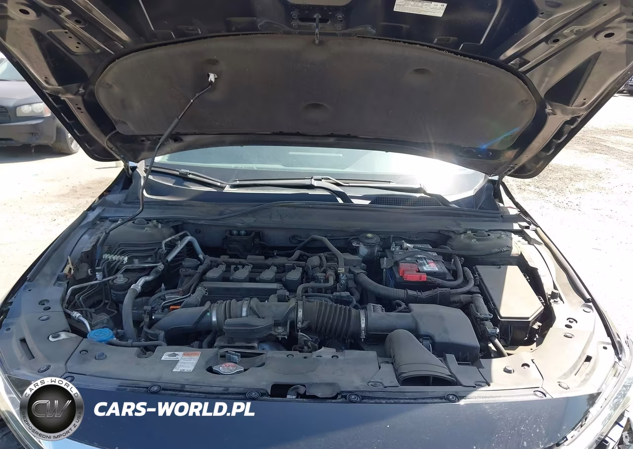 2019 Honda Accord Lx VIN:1HGCV1F1XKA172555 - 10