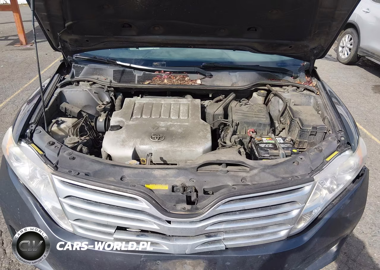 2009 Toyota Venza Base V6 VIN:4T3BK11A59U002772 - 10
