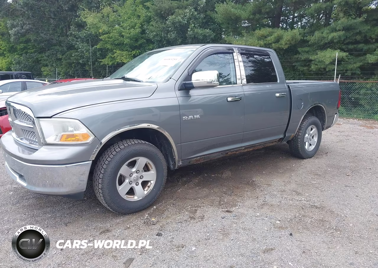 2009 Dodge Ram 1500 Slt-Sport-Trx VIN:1D3HV13P59S795767 - 2
