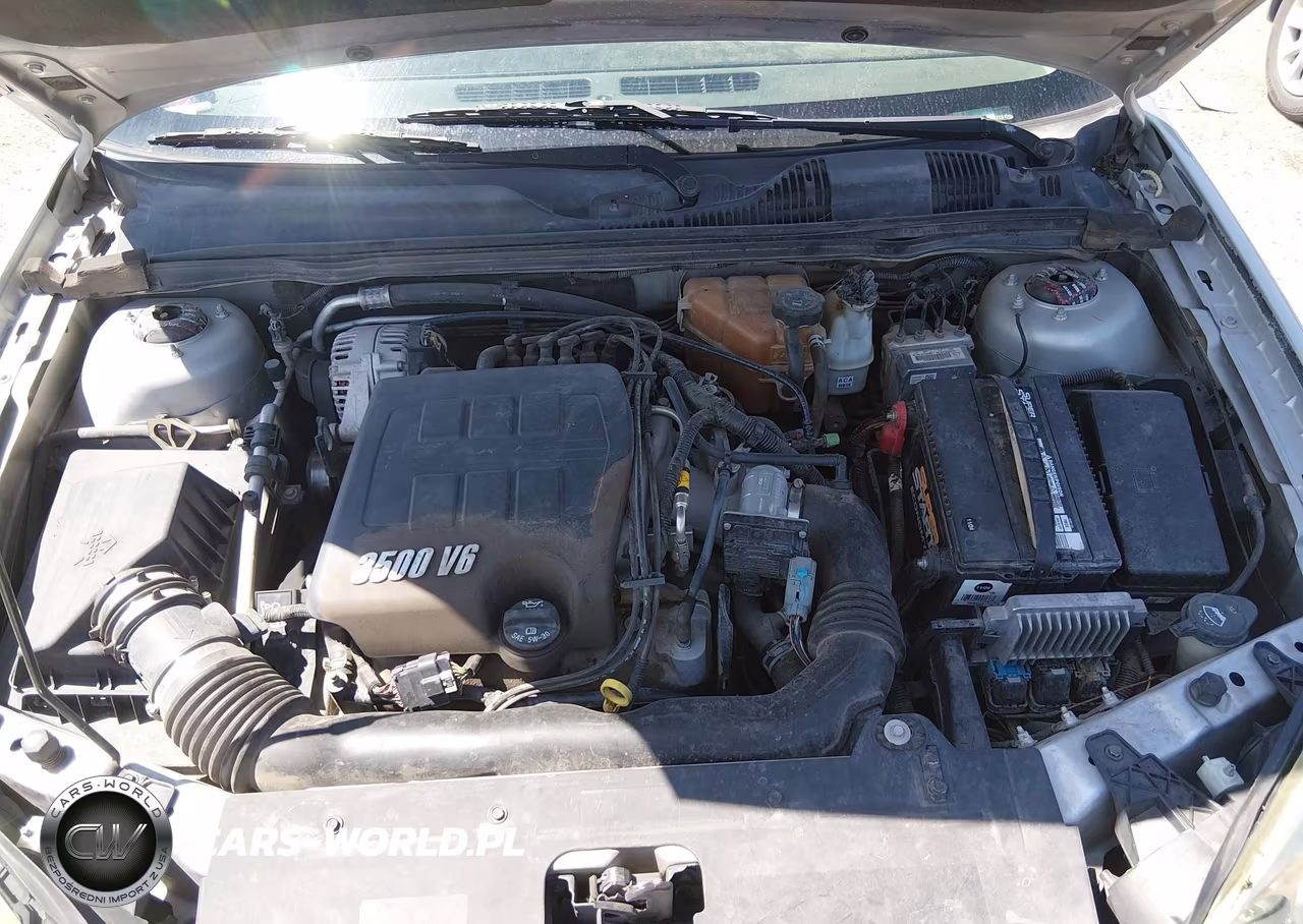 2006 Chevrolet Malibu Lt VIN:1G1ZT51886F210960 - 10