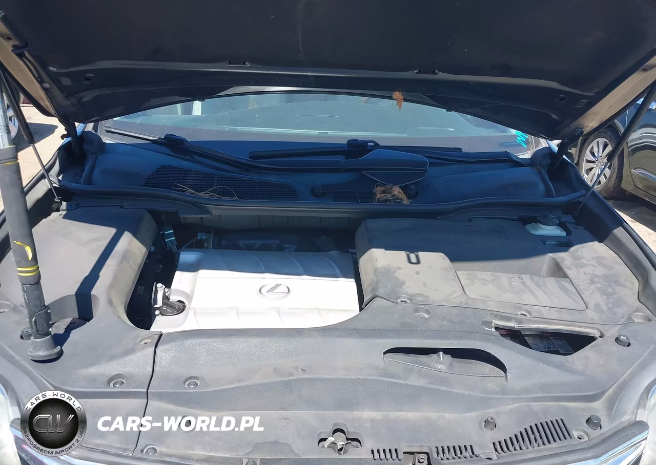 2010 Lexus Rx 350 VIN:2T2ZK1BA1AC020192 - 10