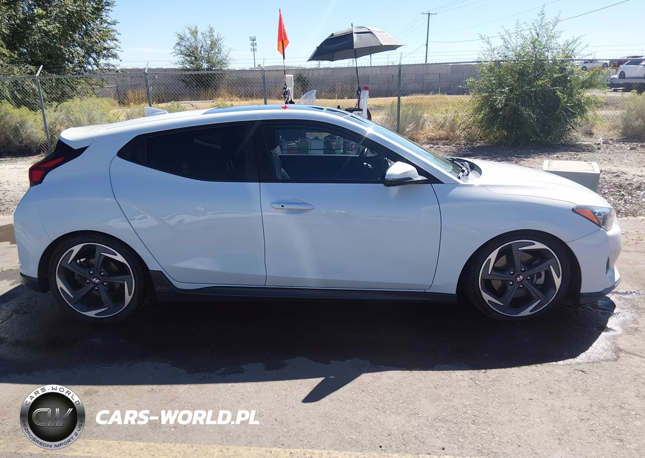2019 Hyundai Veloster Turbo VIN:KMHTH6ABXKU020384 - 13