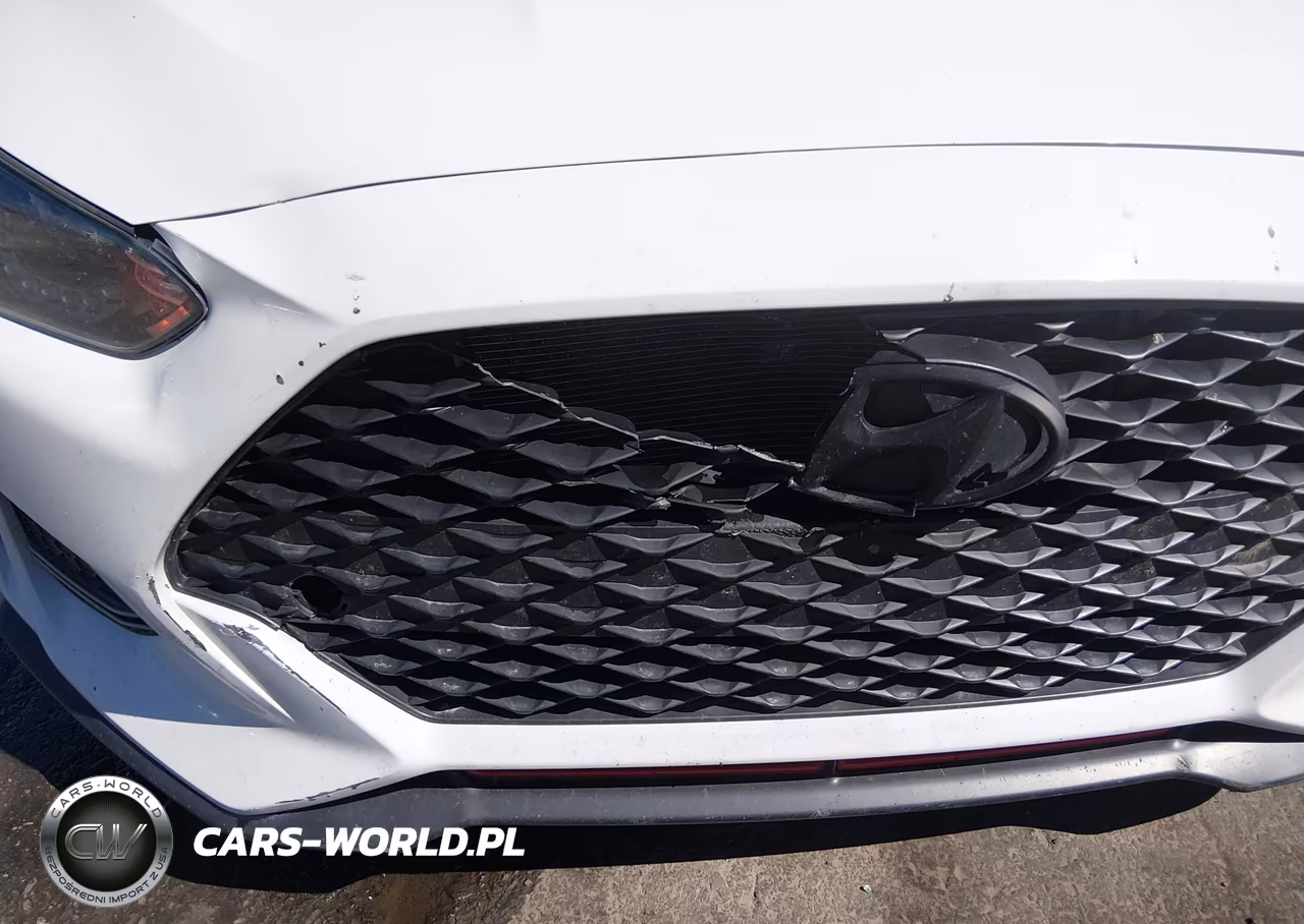 2019 Hyundai Veloster Turbo VIN:KMHTH6ABXKU020384 - 17