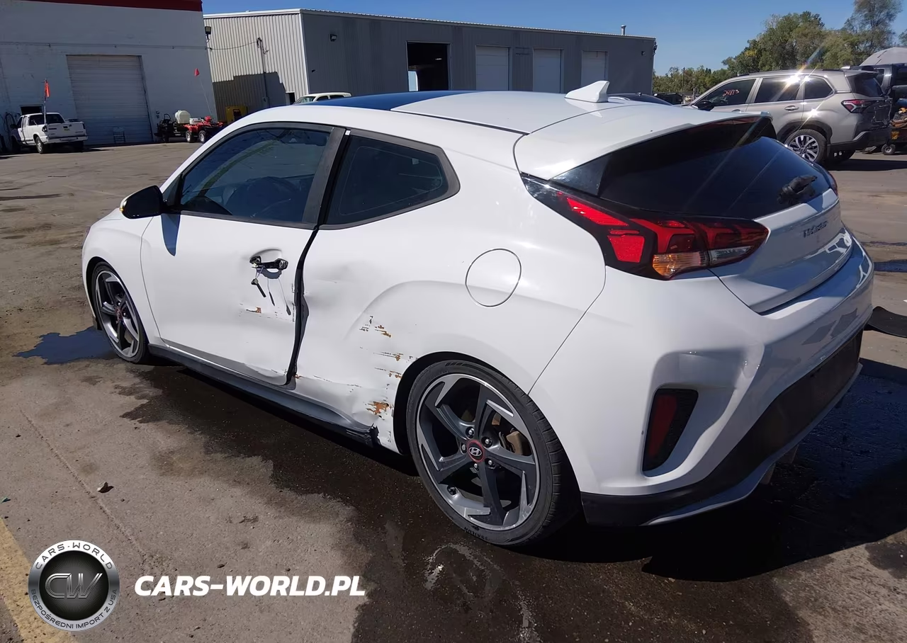 2019 Hyundai Veloster Turbo VIN:KMHTH6ABXKU020384 - 3