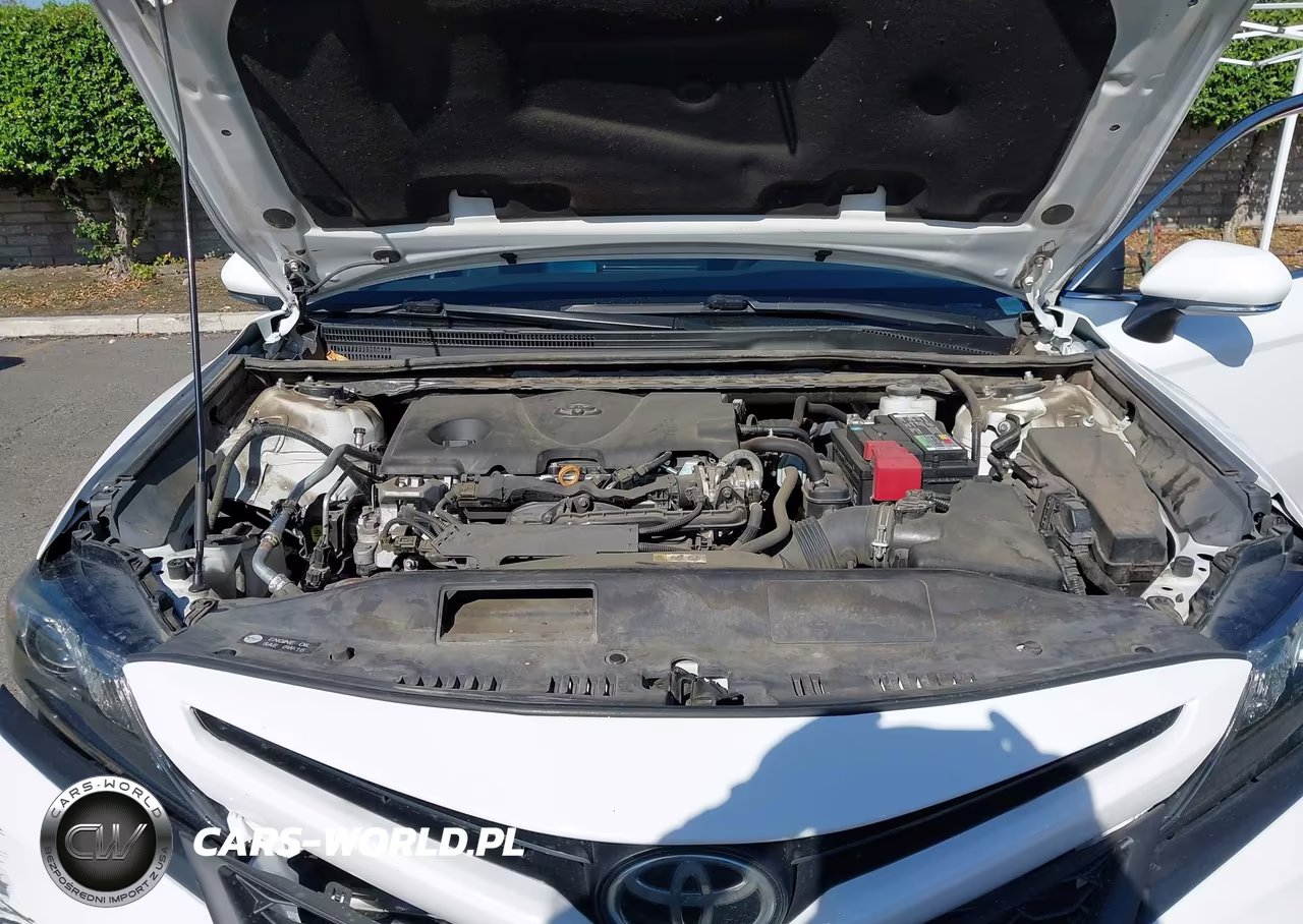 2021 Toyota Camry Se VIN:4T1T11AK3MU533843 - 10